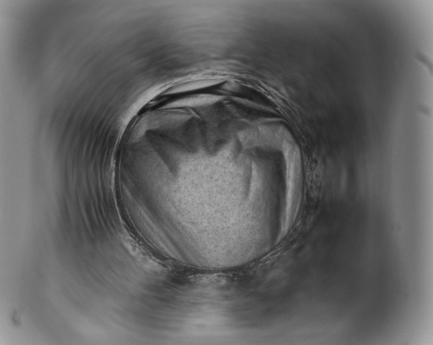 X0000101960100200808011117