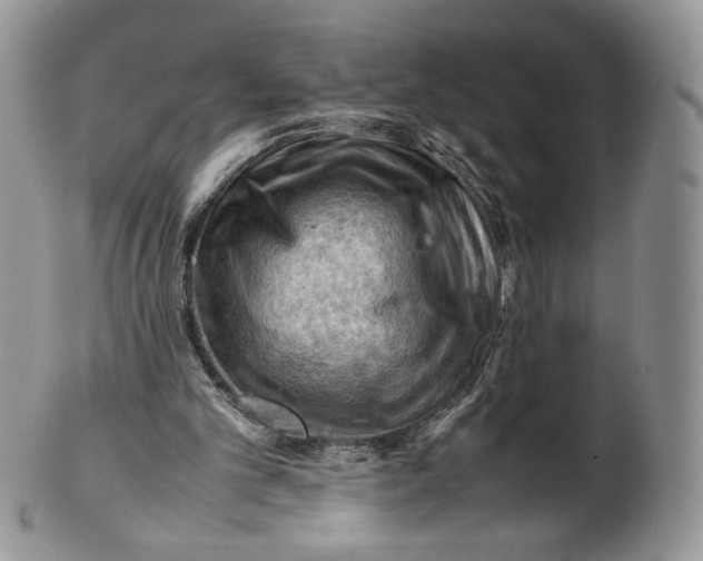 X0000101960101200808011117