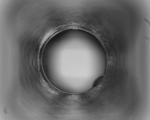 X0000101960102200808011117