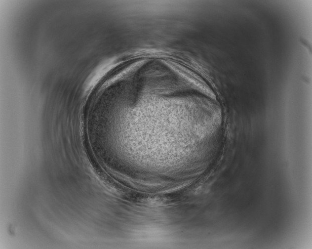 X0000101960103200808011117