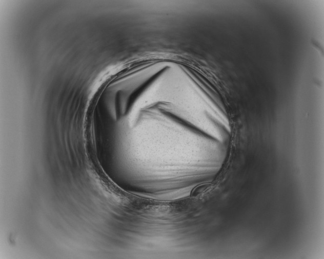 X0000101960104200808011117