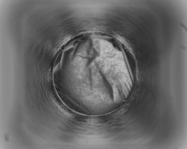 X0000101960105200808011117