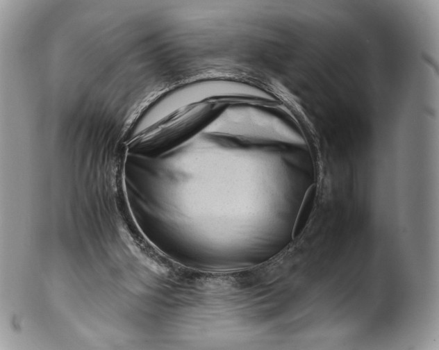 X0000101960106200808011117