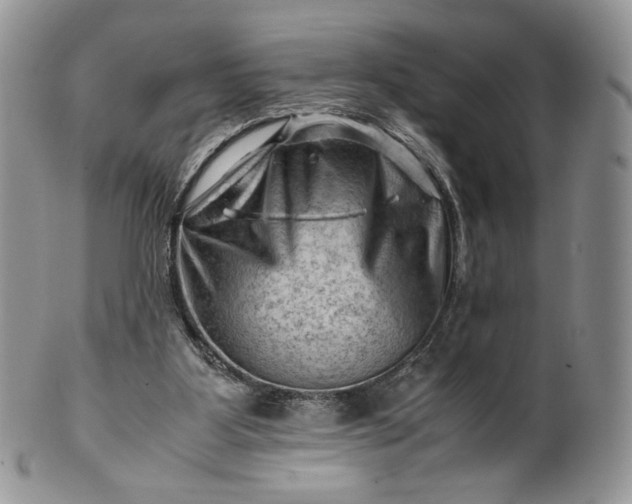 X0000101960107200808011117