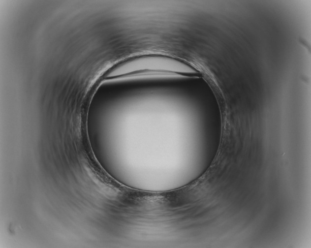 X0000101960108200808011117