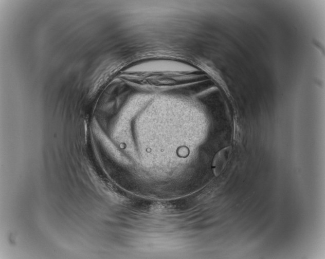 X0000101960109200808011117