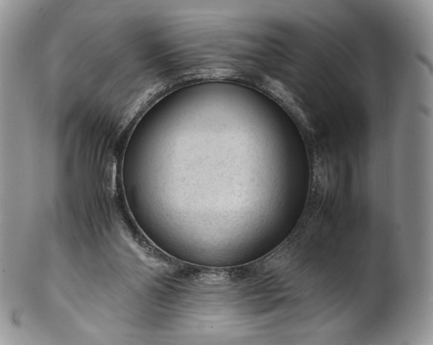 X0000101960110200808011117