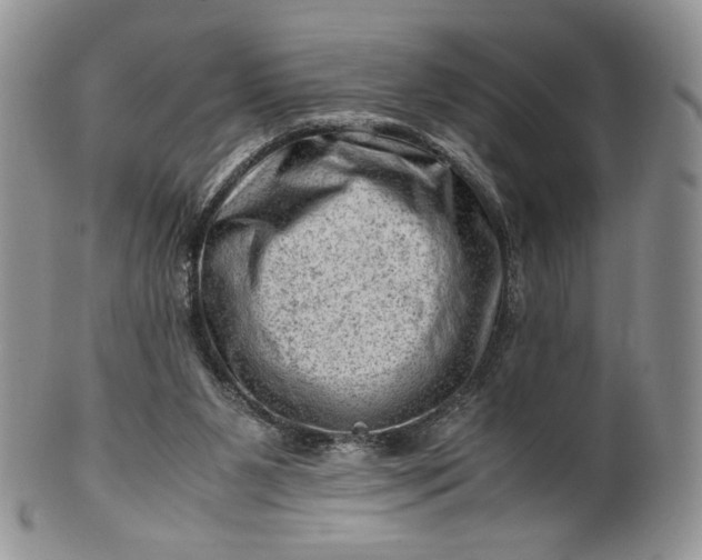 X0000101960111200808011116