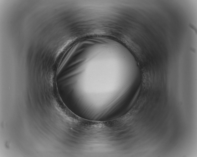 X0000101960112200808011116