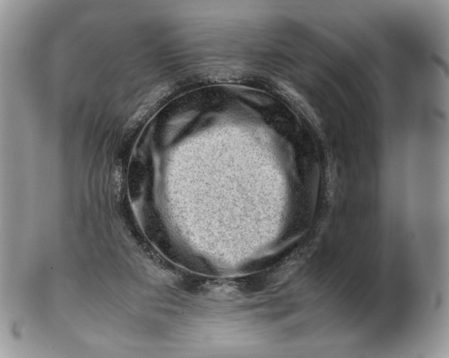 X0000101960113200808011116