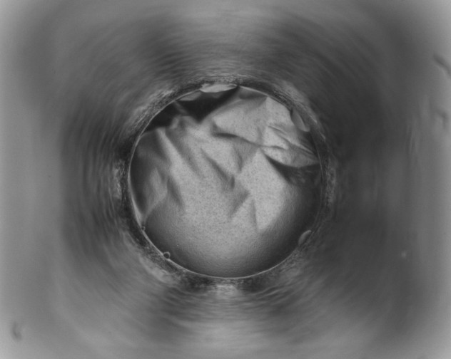 X0000101960114200808011116