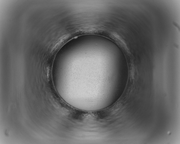 X0000101960115200808011116