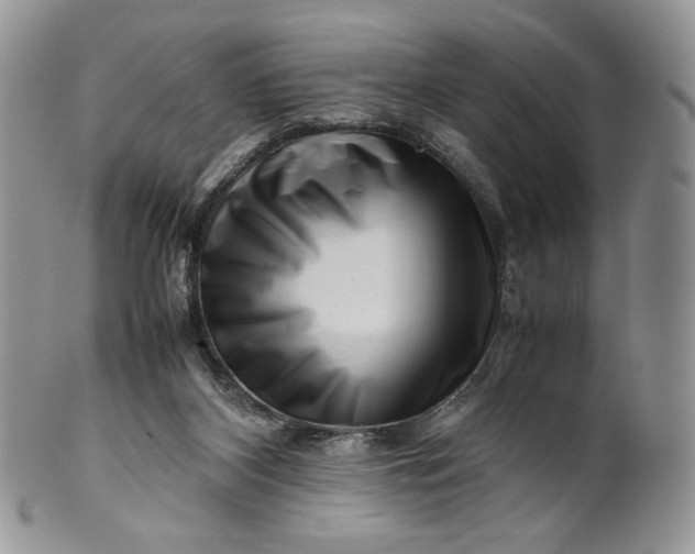 X0000101960116200808011116