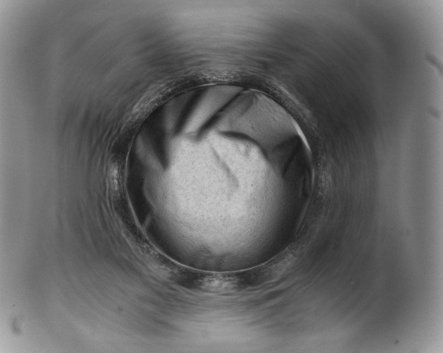 X0000101960117200808011116