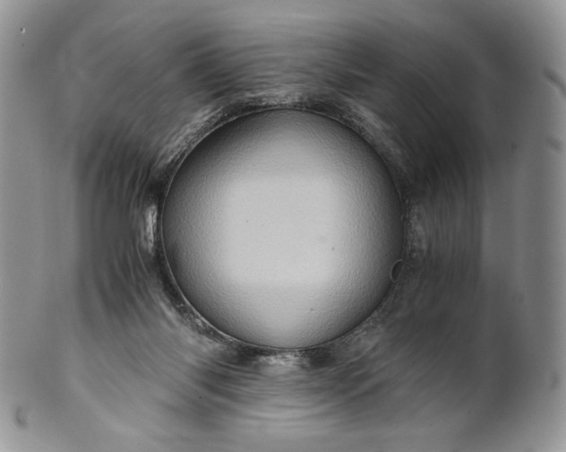 X0000101960118200808011116