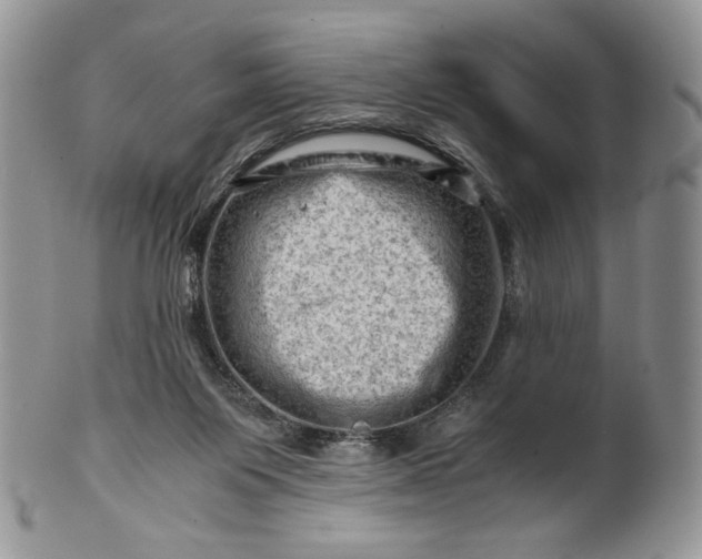 X0000101960119200808011116