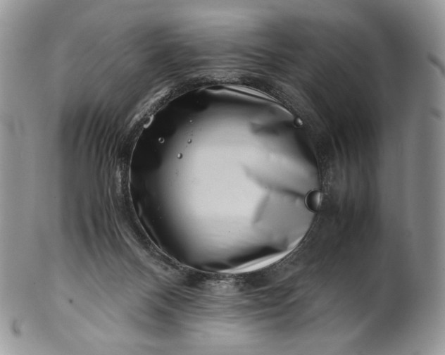 X0000101960120200808011116