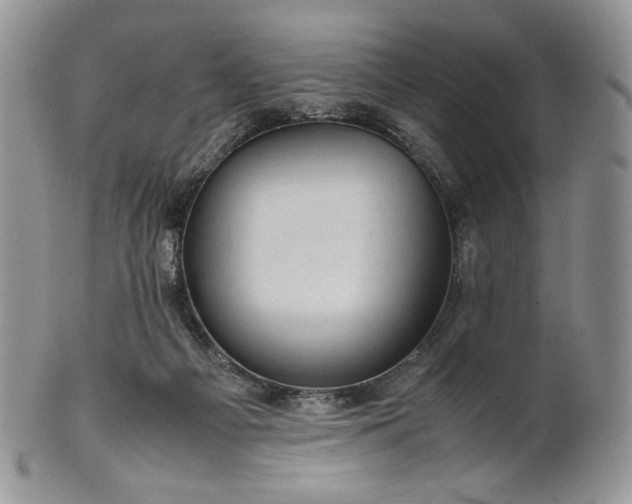 X0000101960121200808011116