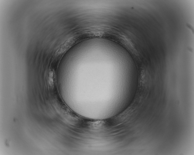 X0000101960122200808011116