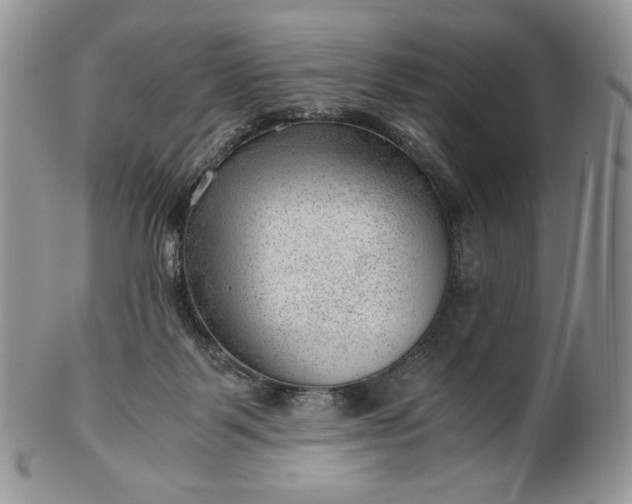 X0000101960123200808011116