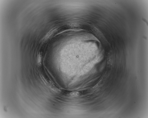 X0000101960124200808011116