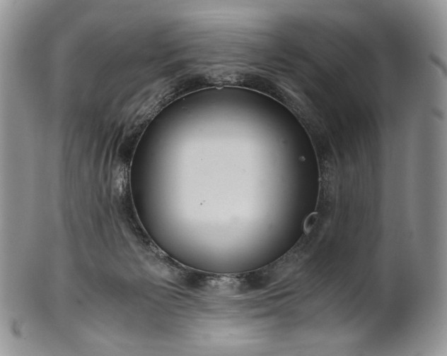 X0000101960125200808011116