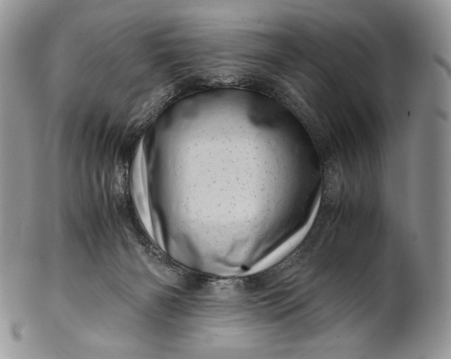 X0000101960126200808011116