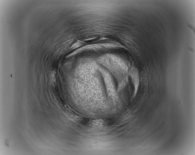 X0000101960127200808011116