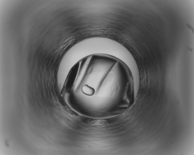 X0000101960128200808011116