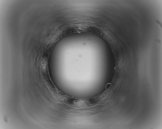 X0000101960129200808011116