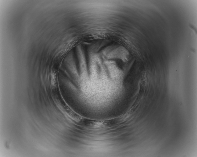 X0000101960130200808011116