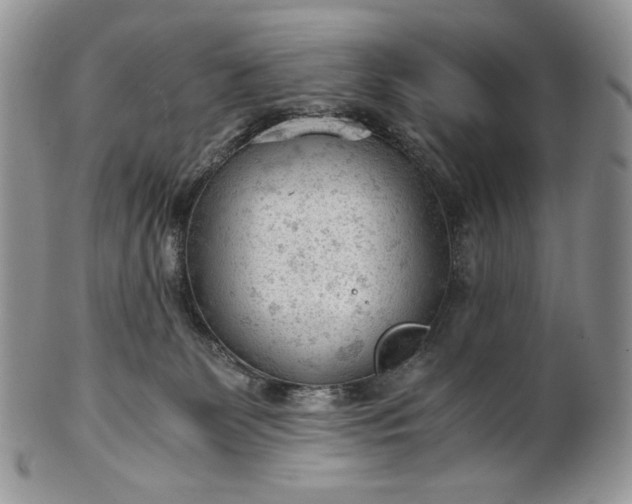 X0000101960131200808011116