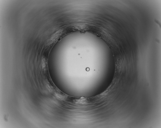 X0000101960132200808011116