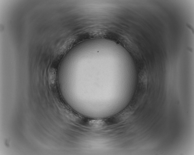 X0000101960133200808011116