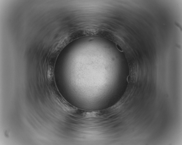 X0000101960134200808011116