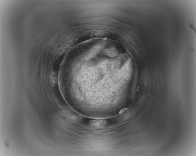 X0000101960135200808011116