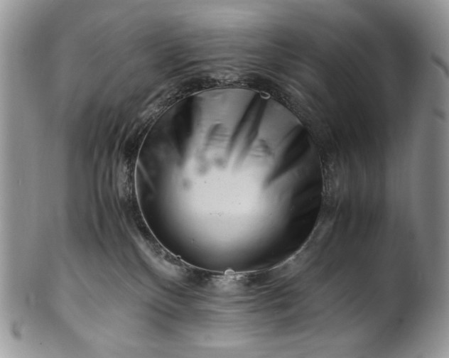 X0000101960136200808011116