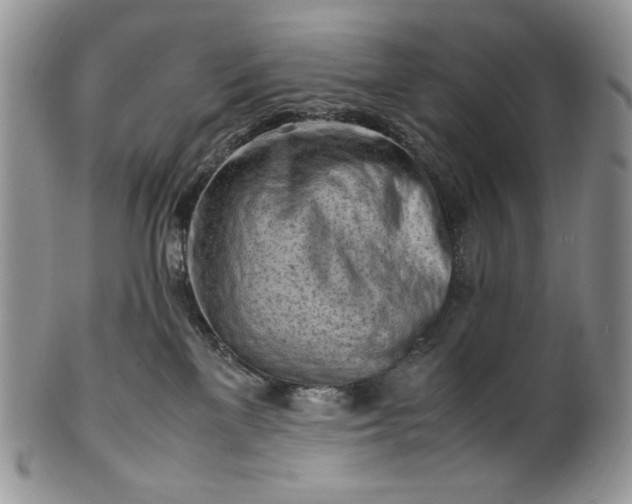 X0000101960137200808011116