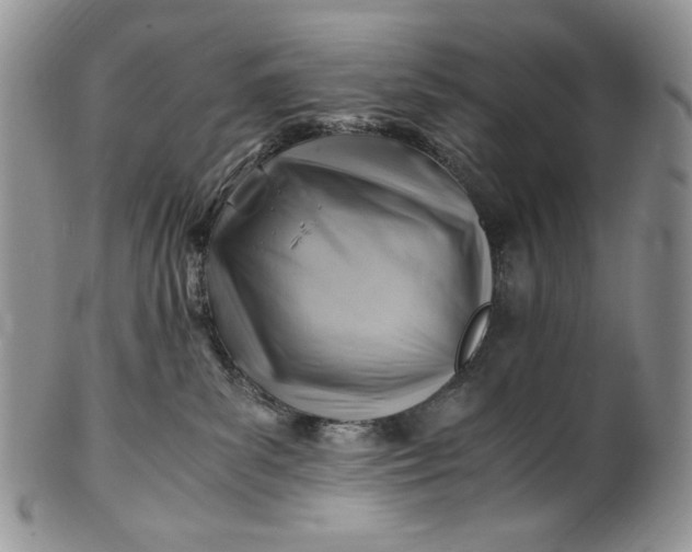 X0000101960139200808011116