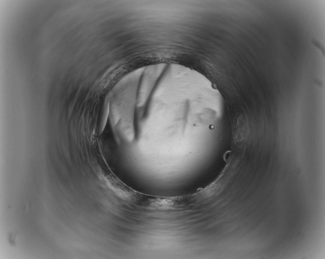 X0000101960140200808011116