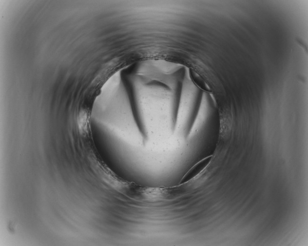 X0000101960142200808011116