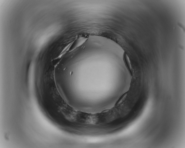 X0000101960143200808011116