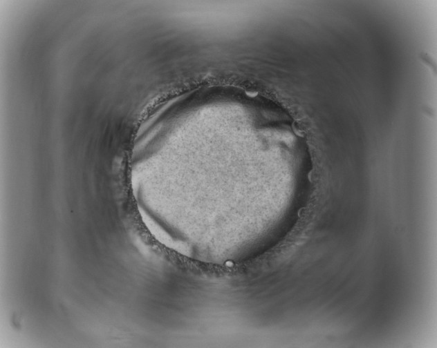 X0000101960144200808011116