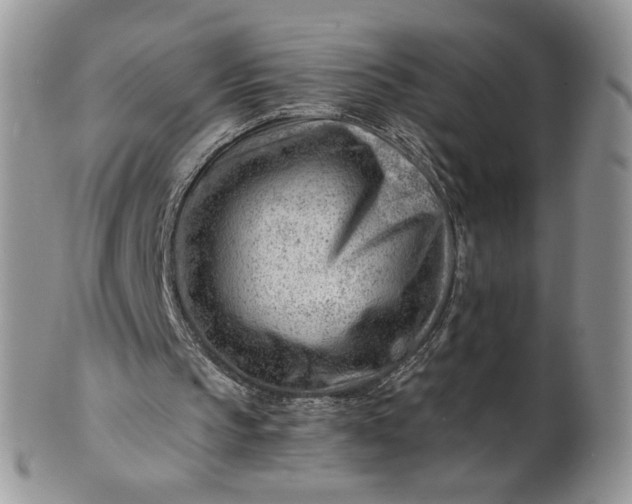 X0000101960145200808011115