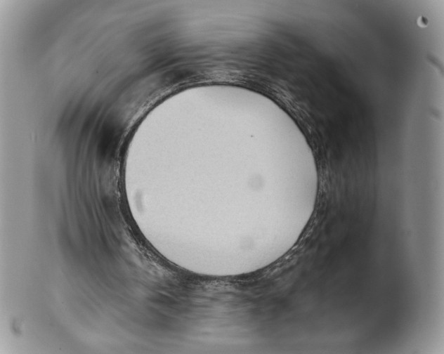 X0000101960146200808011115