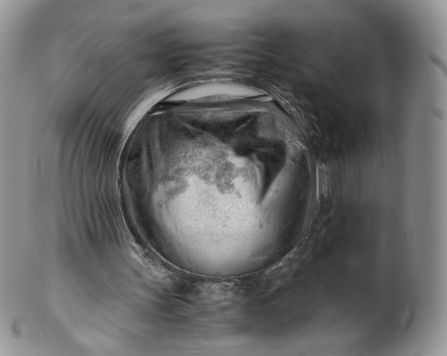 X0000101960147200808011115