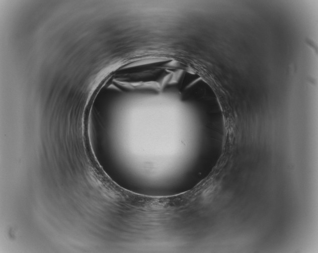 X0000101960148200808011115