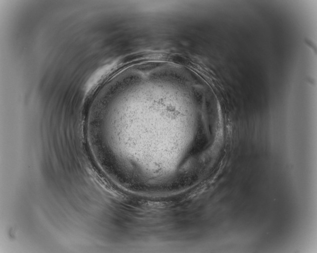 X0000101960149200808011115