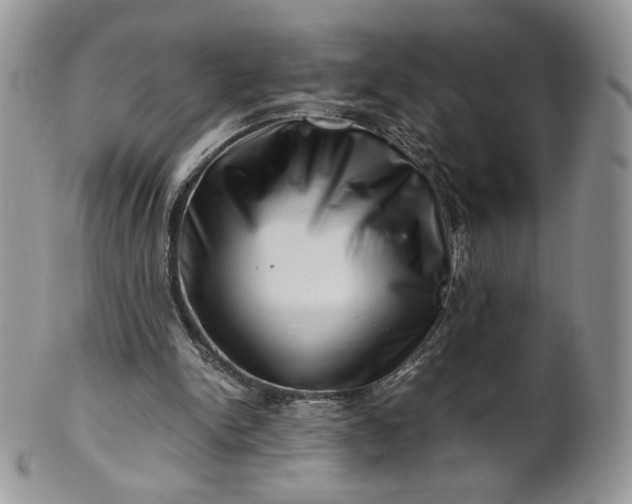 X0000101960150200808011115