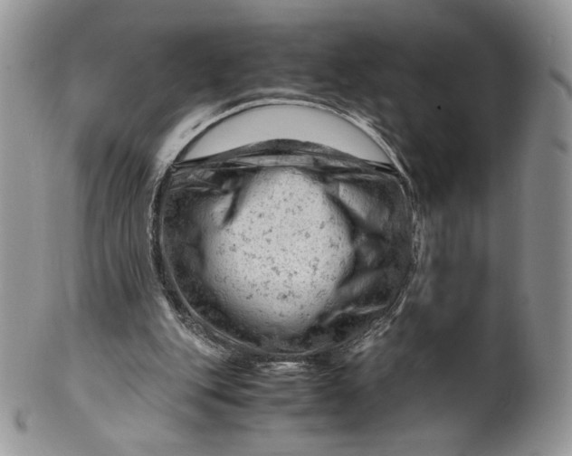 X0000101960151200808011115